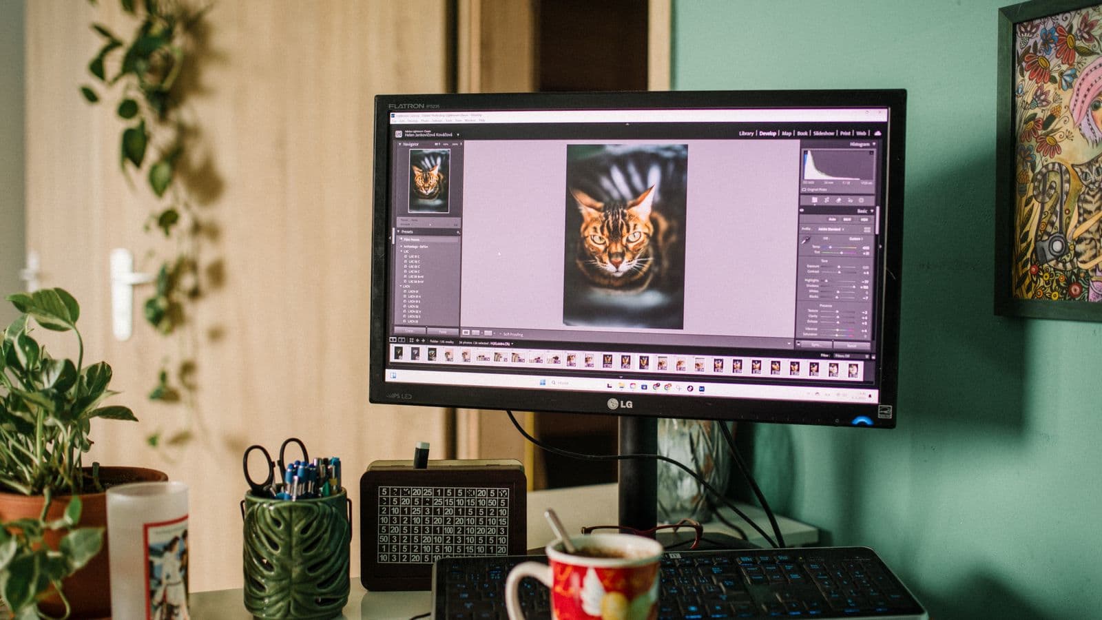 Cómo editar y mejorar fotos con IA en 2026 (quitar fondo, restaurar y ampliar)